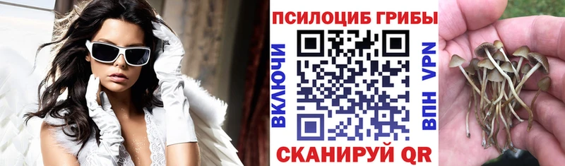 Галлюциногенные грибы Cubensis  Дубовка 